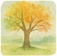 Seasons of New England